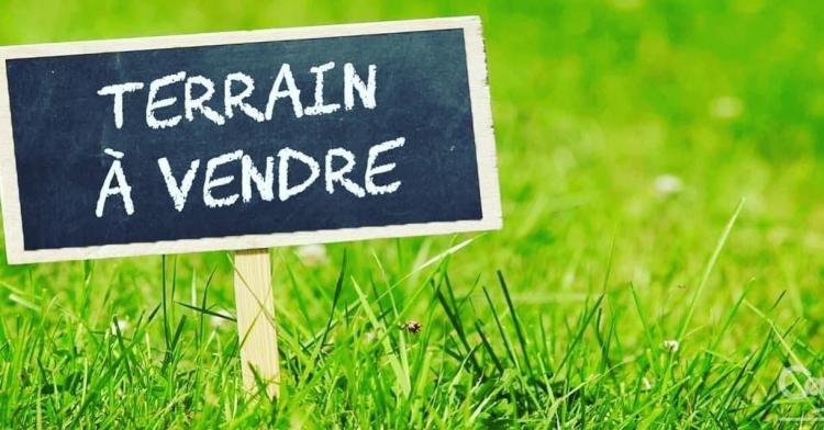 Deux terrains nus mitoyens de 500 m² chacun